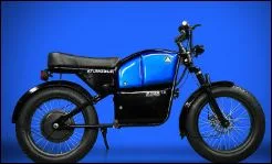 The Best Electric Bike In India 2021 Learn features and price