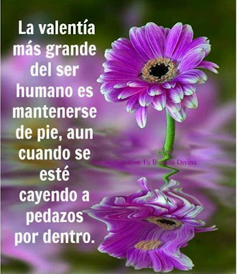 Imagenes Frases La Valentia Grande