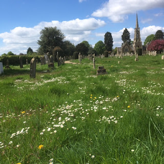 View across a grassy, flowery cemetery with a blue sky and a chapel in the background