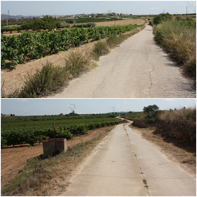 L'ARBOÇ-LA COSTETA-LA PEDRERA, Camí Moliner entre La Gornal i l'Arboç