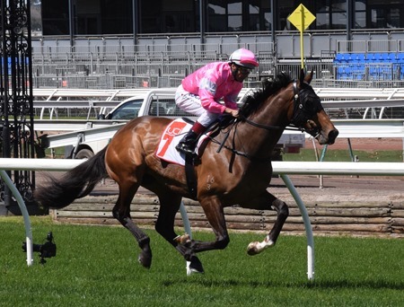 race 3_highlad 5