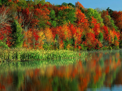 Autumn Wallpaper HD Widescreen Desktop