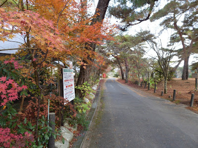 くろんど池 秋の紅葉ウォーキング