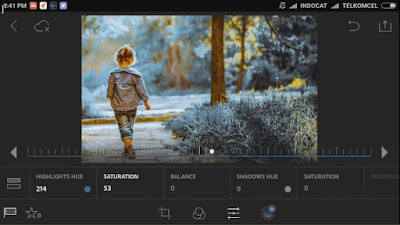 Cara Edit Foto Keren di Lightroom Android dan IOS