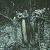 22.6-foot reticulated python killed By Negrito, 1970's