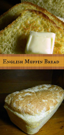 ENGLISH MUFFIN BREAD: NO KNEAD TOASTING BREAD