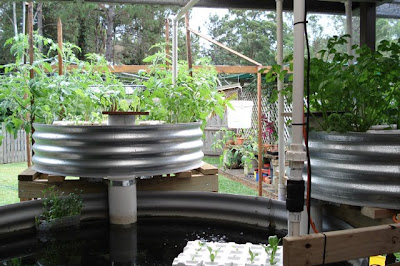 Aquaponics revisited - UPDATED