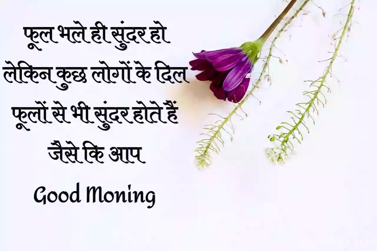 55+गुड मॉर्निंग कोट्स हिंदी में/Good Morning Quotes Hindi/Good Morning Thoughts Hindi(October 2021)Images (2021) - Sabinhindi.com