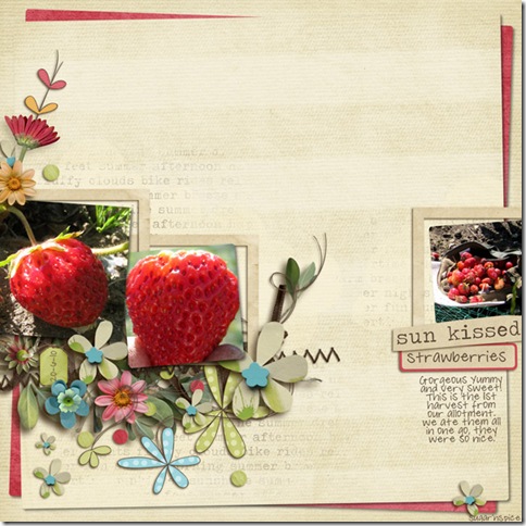 493 SnS-Strawberries