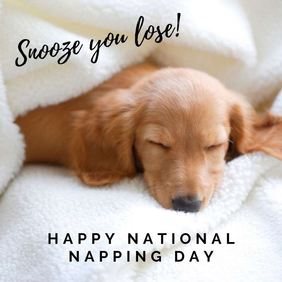 National Napping Day Wishes Awesome Images, Pictures, Photos, Wallpapers