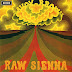 1970 Raw Sienna - Savoy Brown