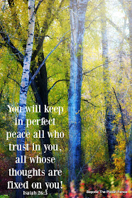 bible verse, God's word, peace, inspirational quote, fall photo, fall trees,http://bec4-beyondthepicketfence.blogspot.com/2015/10/sunday-verses_10.html 