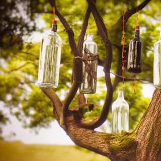 Discover the captivating world of bottle trees in Africa