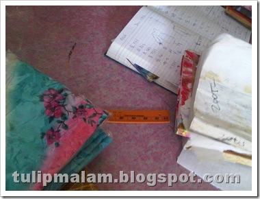 IMG01544-20110709-1556
