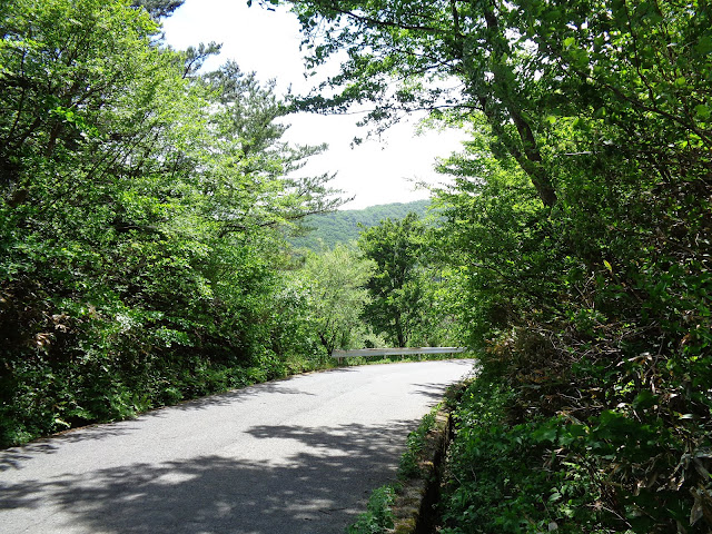 大山環状道路