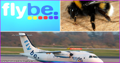 Bee forces Flybe flight to make emergency landing