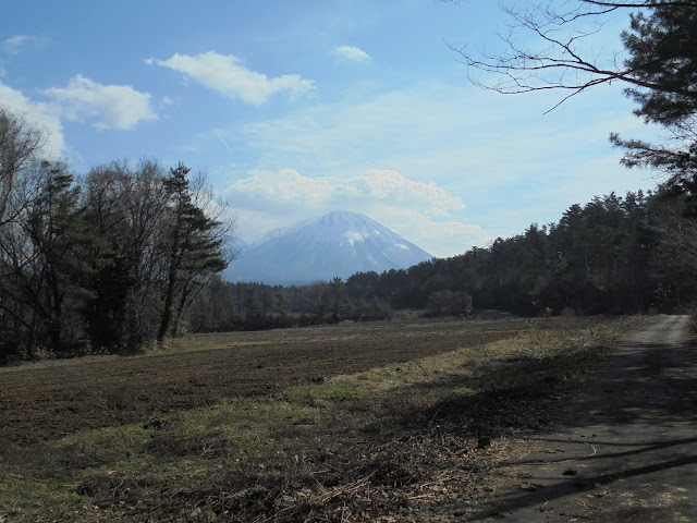 牧草地と大山