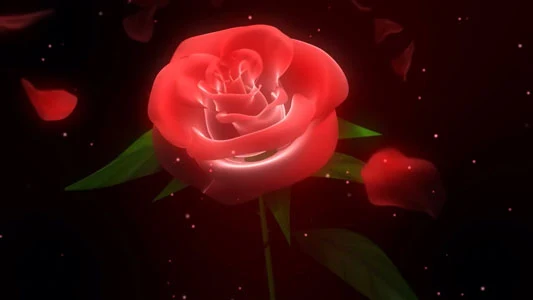 تحميل فيديو ورق ورد متساقط لمونتاج فيديوهات الأعراس بدقة HD. 3D Wedding Rose Petals Free Background HD