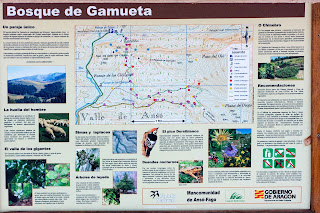 Cartel informativo, Bosque de Gamueta