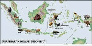 JENIS DAN PERSEBARAN FAUNA DI INDONESIA DAN DUNIA