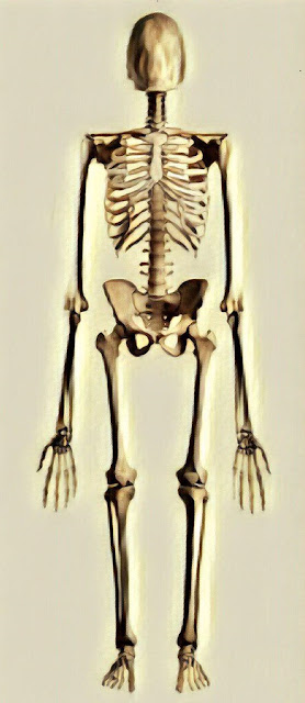 Slender Man's Bones