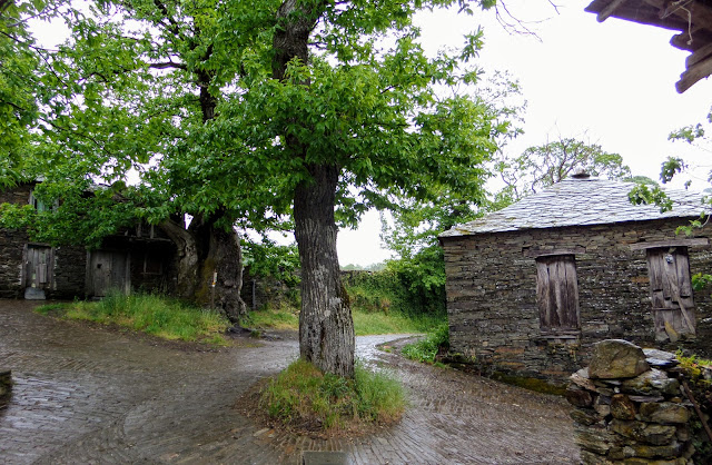 Ramil, Castaños, Camino Santiago francés