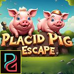 Palani Games  Placid Pig Escape Game