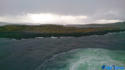 isla de los pájaros - canal Beagle