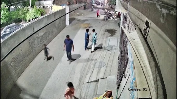 Leão escapa e ataca família em Lahore, Paquistão