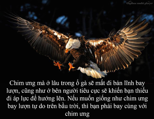 Đi cùng ruồi thì tìm được nhà vệ sinh  Đi cùng ong thì tìm được hoa thơm  Đi cùng người giàu học cách kiếm nhiều tiền  Đi cùng ăn mày học được cách xin cơm.