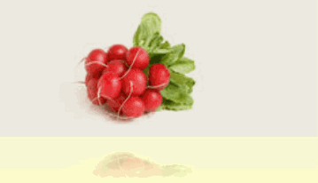 radish