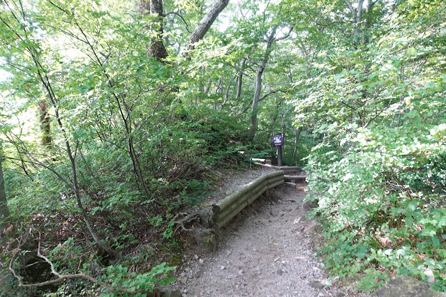 8月の大山夏山登山道