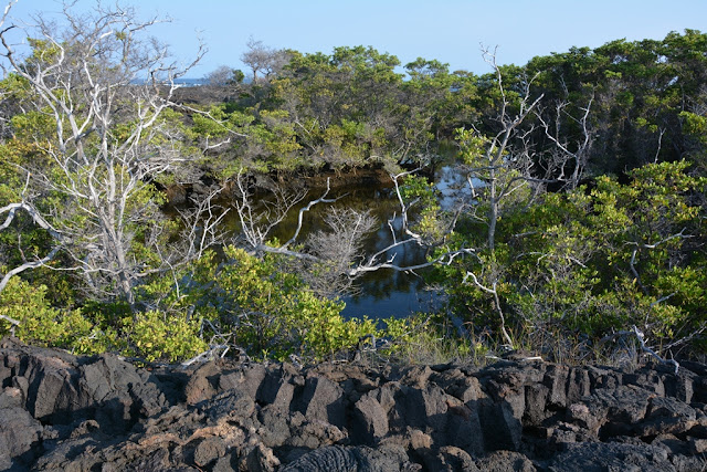 Lave Hike Punta Moreno