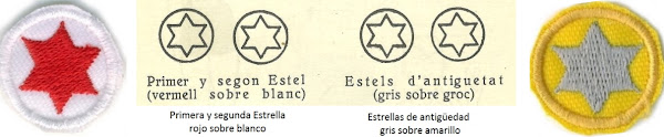 Diferencia de las insignias de Minyons entre estrella de progresión y estrella de antigüedad