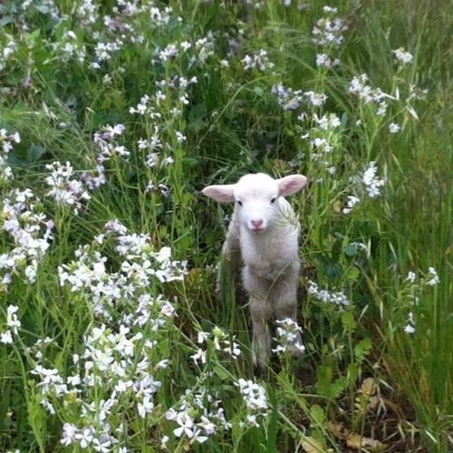 REVISTA DE FIM DE SEMANA - BEM VINDA, PRIMAVERA!