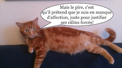 Lionel, le plus beau des chats oranges de Toulouse !