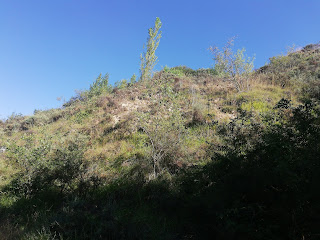 Yesos cubiertos de vegetación, Castrillo del Val, Burgos