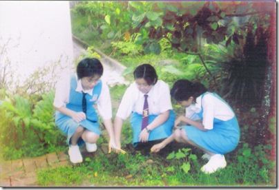 Civic project: garden cleaning