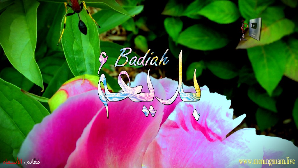 معنى اسم, بديعة, وصفات, حاملة, هذا الاسم, Badiah,