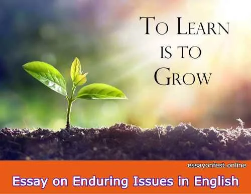 Essay on Learning and Growing Together