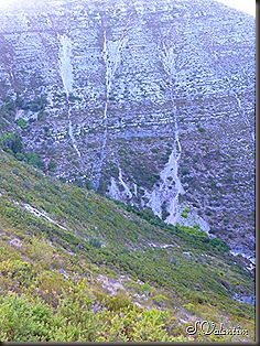 P1170568