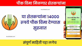 Crop Insurance 2023