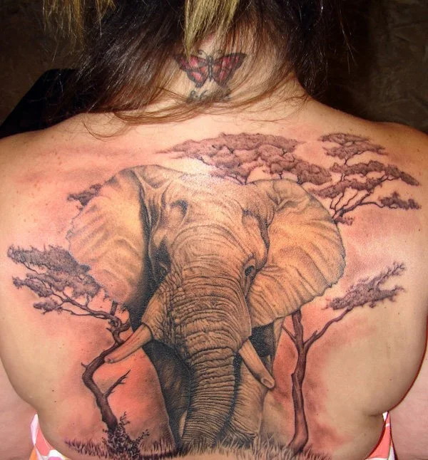 vemos el tatuaje de elefante en la espalda