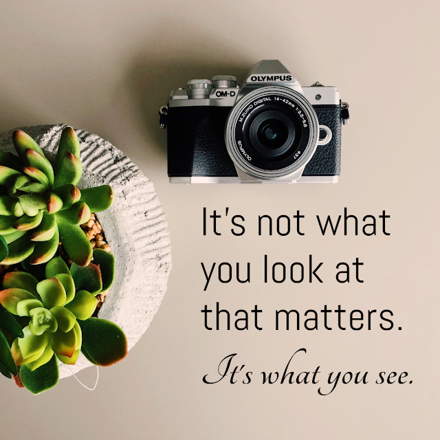 it's not what you look at that matters quote