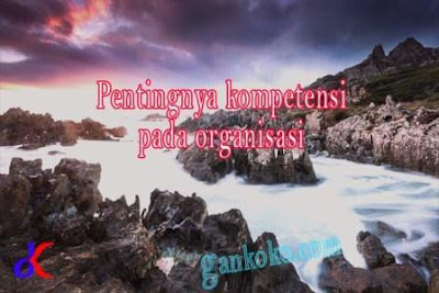 https://www.gankoko.com/2023/11/pentingnya-kompetensi-pada-organisasi.html