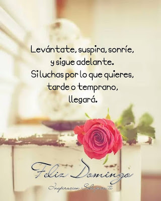  frases de feliz Domingo 