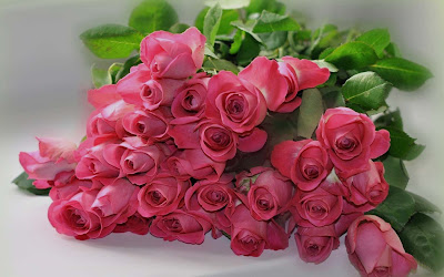 pink-roses-nice-wallpapers