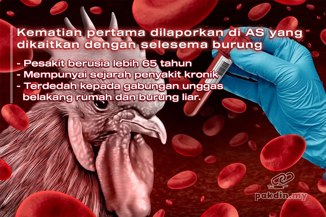 Kematian pertama dilaporkan di AS yang dikaitkan dengan selesema burung