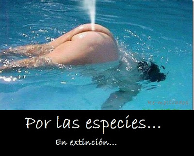 Por las especies...