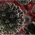 BOLETÍN 302 DEL MSP! Se reportan 1,482 nuevos casos e coronavirus en últimas 24 horas.